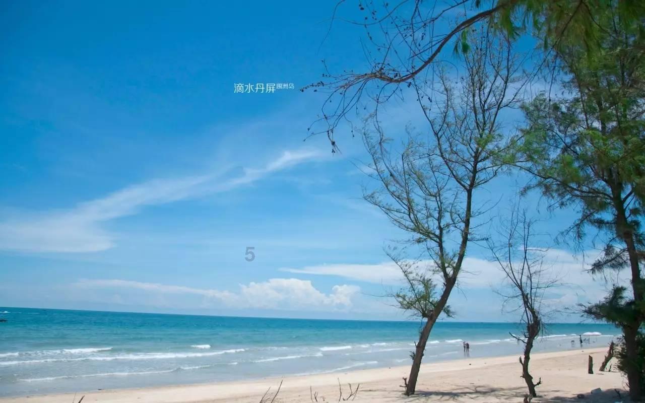 忻州市举办“福启新年，相约忻州——忻州年 家乡味”特别活动